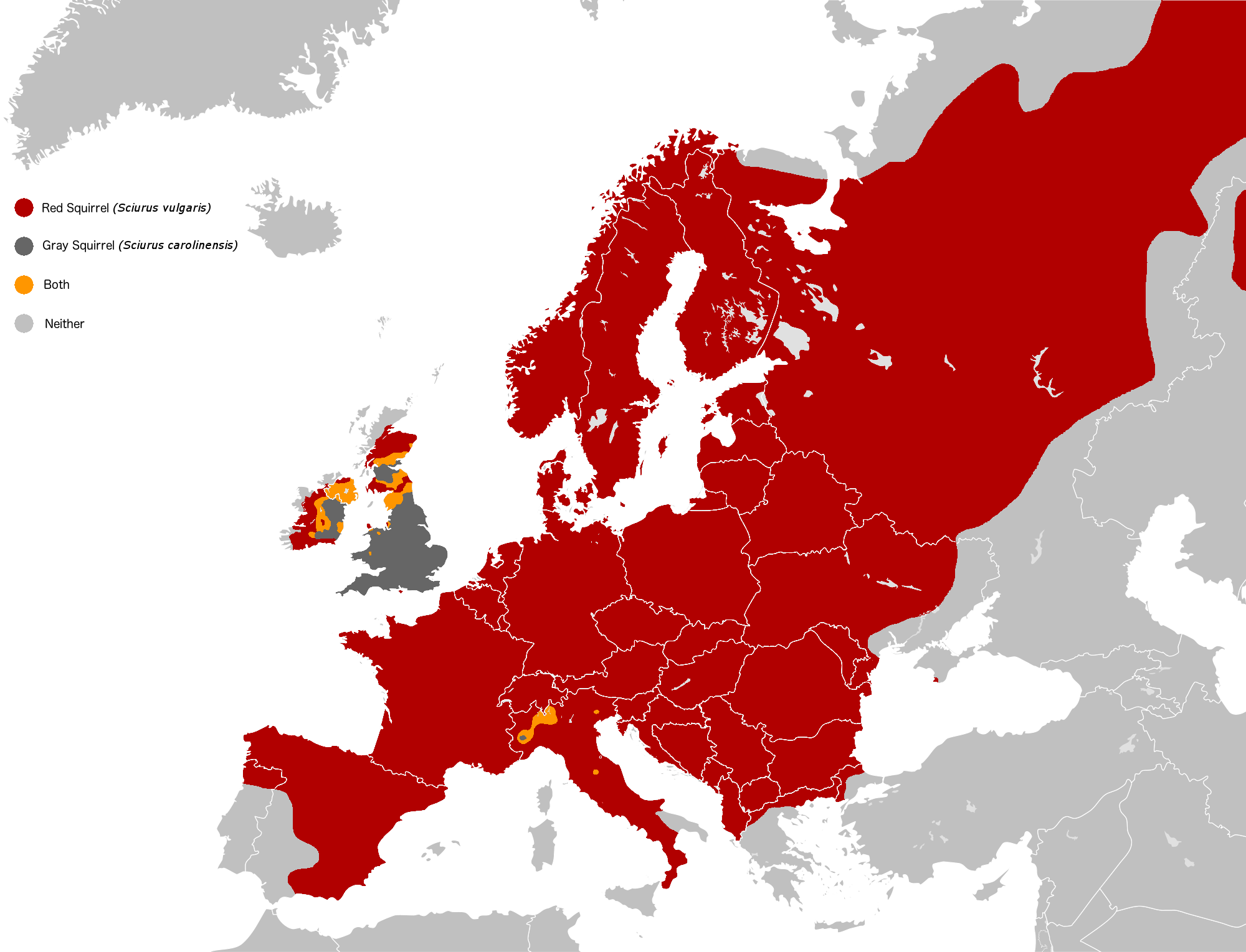 Red and gray squirrel dispersals in Europe