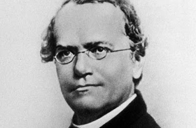 gregor mendel