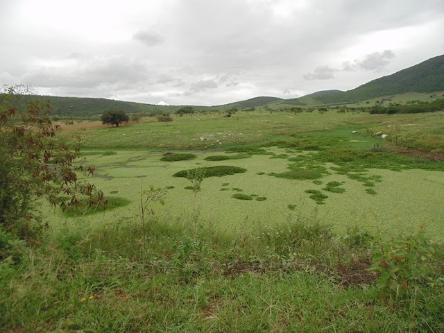 MANANCIAS ESTÃO SECANDO POR FALTA DE CHUVA EM BOM CONSELHO