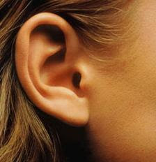 Ear