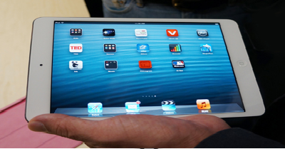 iPad Mini Display