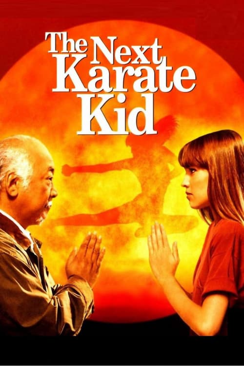 Ver El nuevo Karate Kid 1994 Pelicula Completa En Español Latino