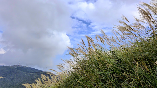 大屯山