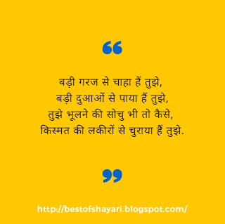 I Love You Shayari In Hindi