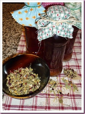 Infuso di erbe e frutti  (7)