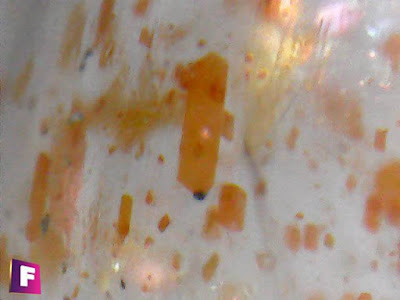 piedra-del-sol-minerales-bajo-el-microscopio