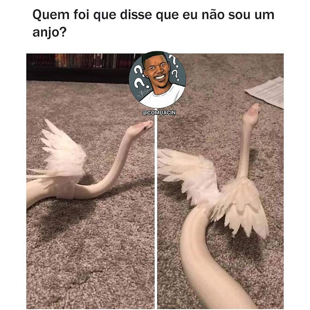 Memes engraçados