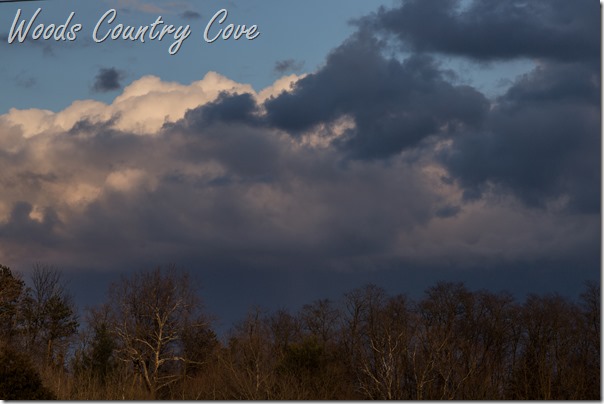 MARCH 2016 (53 of 55)