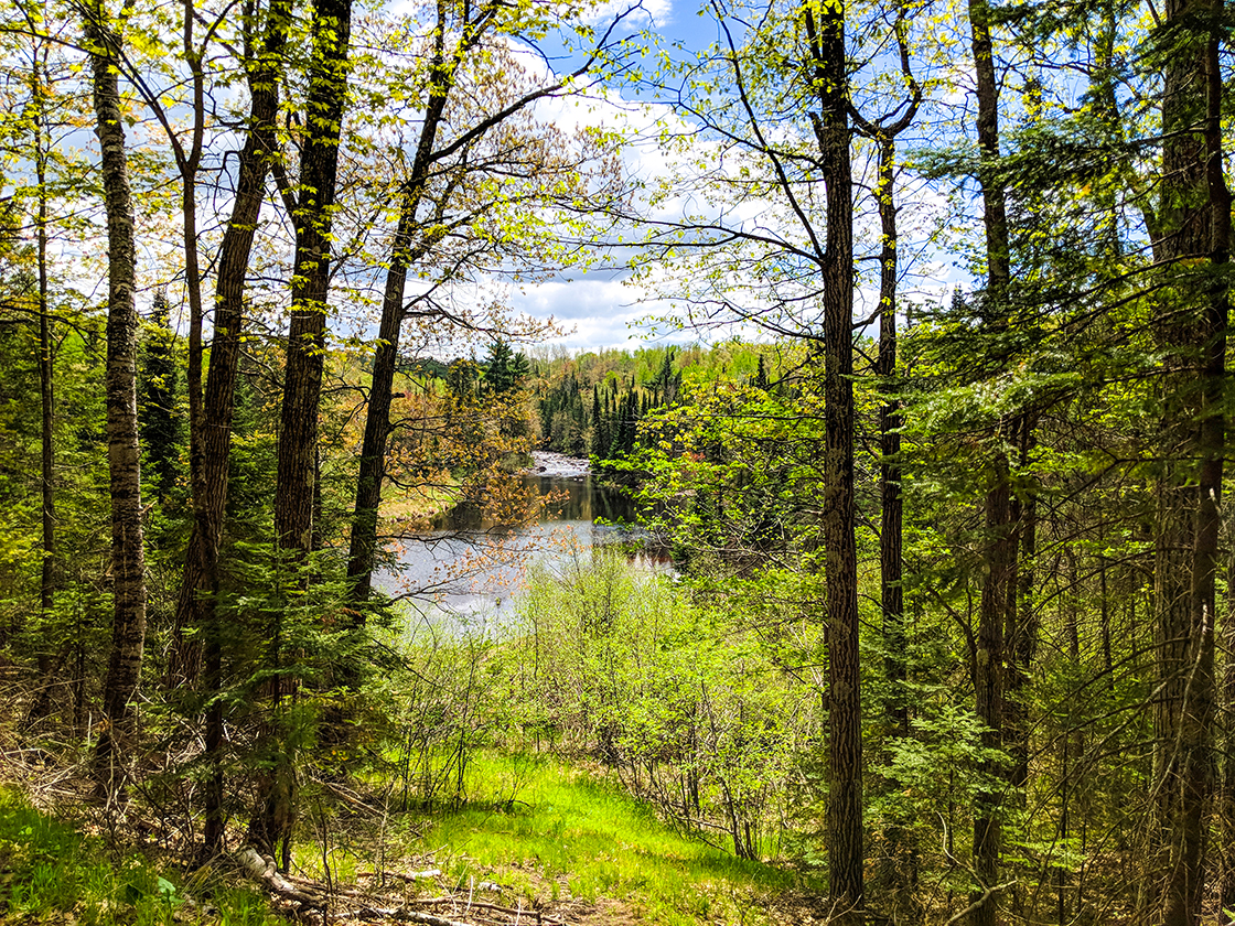 North Country National Trail at Pattison State Park