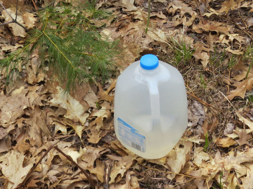 milk jug full of water in the woods