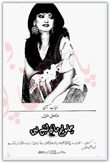Chalo hum maan lete hain by Nayab Hussain Online Reading