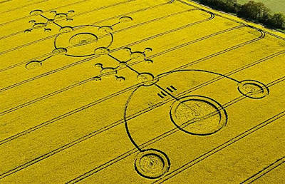 crop circle pictures