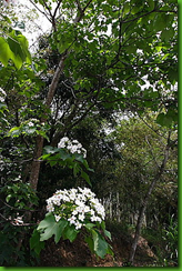 mht10E(1)