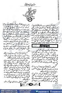 Tumhara aseer by Shahnaz Siddique