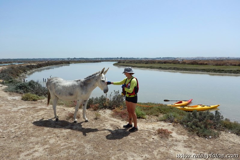 Kayak San Fernando - Salinas de Chiclana