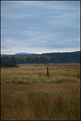 SG104096