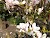TAG: Spring has sprung 