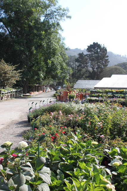 Front drive of Half Moon Bay Nursery