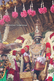 Sesha vahanam,Day 02,Brahmotsavam, Thiruvallikeni, Sri PArthasarathy Perumal, Temple, 2017, Video, Divya Prabhandam,Utsavam,