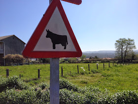 By E.V.Pita (2014), St James' Way from Santiago to Finisterre Cape / Por E.V.Pita (2014),Camino de Santiago hasta el cabo Fisterra