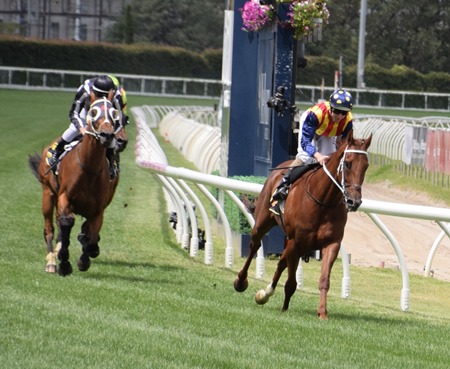 race 4_finish 3