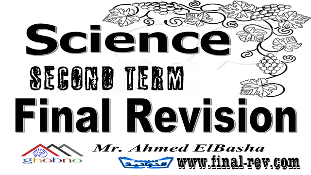 المراجعات النهائية Science مستر احمد الباشا | حملها و اضمن درجتك في العلوم لغات ترم تانى 2023