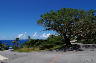 海洋博記念公園