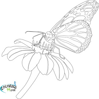 butterfly and flowe coloring pages for kids