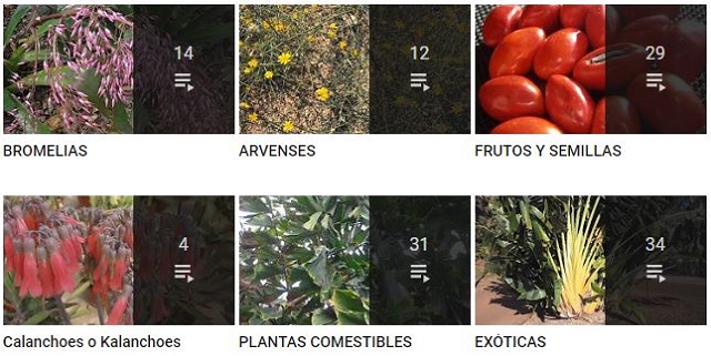 Vídeos de plantas y animales rioMoros