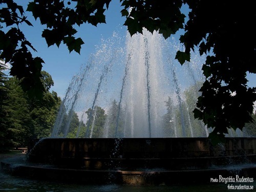 water_20110601_margit