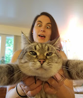 Cuando los gatos simplemente no quieren estar en tus estúpidas selfies