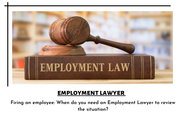 employment lawyer