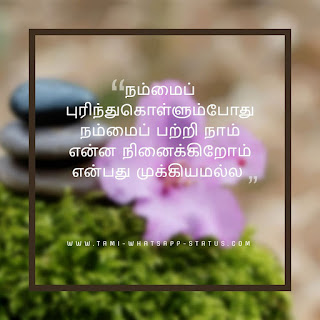 Motivation Quotes Tamil