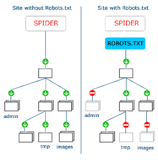 Importance of Robots.txt