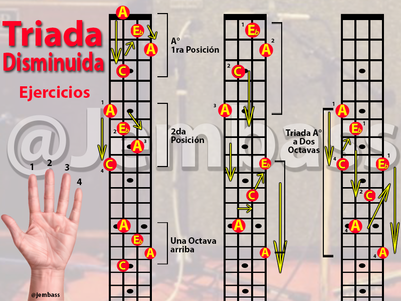 Triada de LA Disminuido en bajo electrico