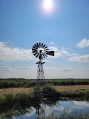 Amerikanische Windmühle im Nationalpark