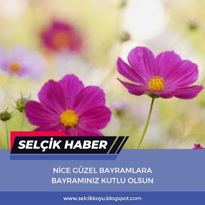 Bayramınız Kutlu Olsun / Selçik Haber