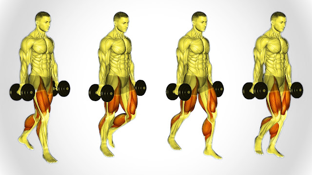 Farmer's  Walk is a basic yet powerful activity that objectives different muscle gatherings, principally the grasp, center, and legs. This is the way you can play out a Farmer's Walk: