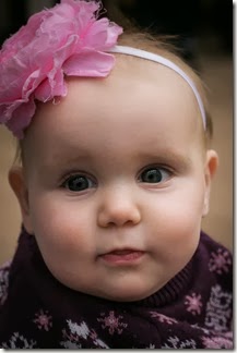 IMG_6463 IMG_6463