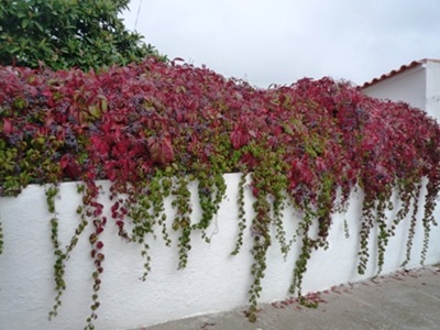 P1060241