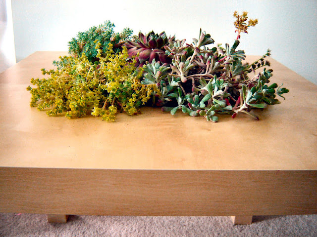 LACK Side Table Planter