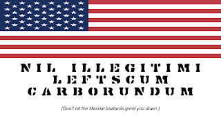 Drawing: flag of the USA, with text, "Nil Illegitimi Leftscum Carborundum", meaning, "Don't let the Marxist bastards grind you down", underneath