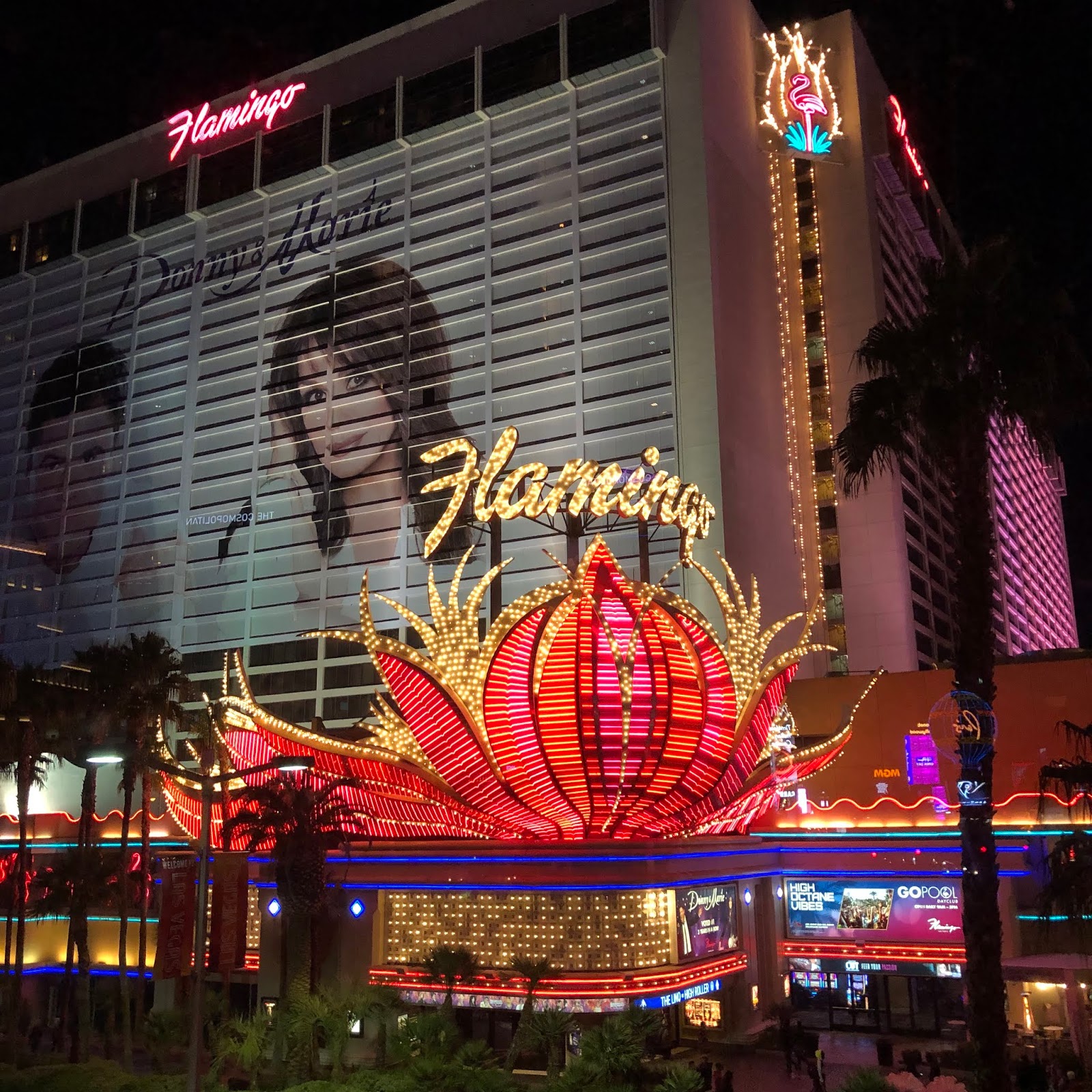 フード ワインの日々 ラスベガス グルメ 人気スターシェフ Gordon Ramsay Hell S Kitchen ゴードン ラムゼイのヘルズ キッチン At Caesars Palace