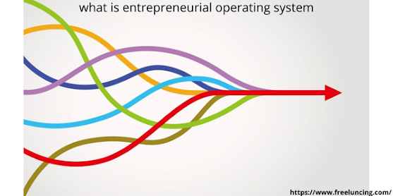 What is entrepreneurial operating system