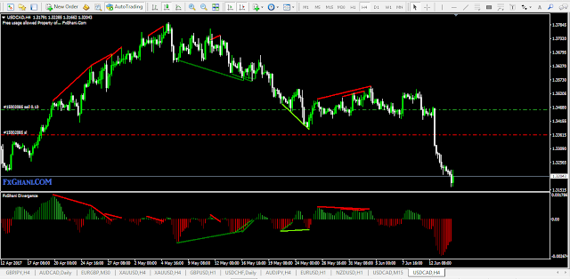 FxGhani Unique Divergence Indicator.