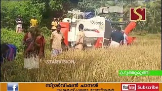 നെല്‍കൃഷിയുടെ വിളവെടുപ്പ് നടത്തി