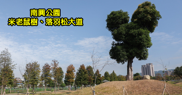 台中北屯|南興公園|萬坪公園|落羽松大道|米奇樹|生態滯洪池|滑溜冰場|籃球場