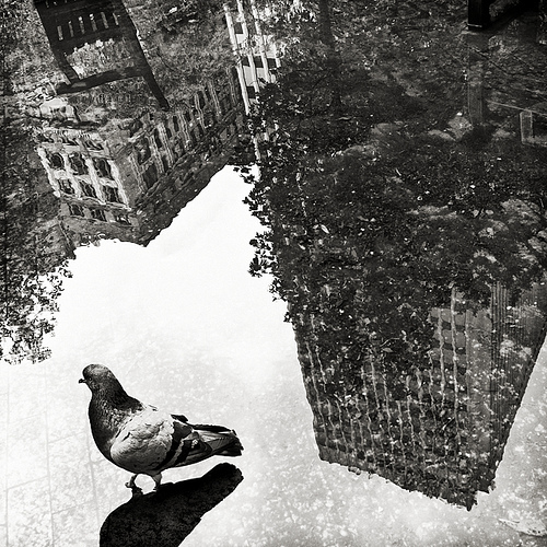 Beautiful Black and White Photography 