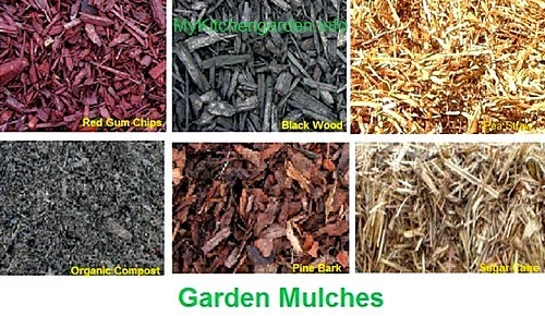 Organic mulches - compost, red gum chips, black wood, pine bark, cane sugar straw,  pea straw