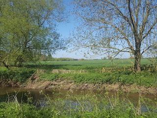 The River Ouzel bordering one side of Waterhall Park